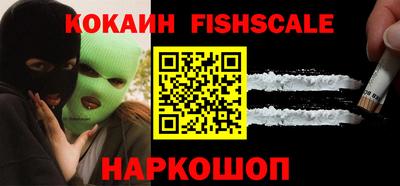крисы Бийск