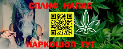 крисы Бийск
