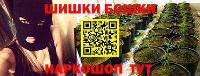 крисы Бийск