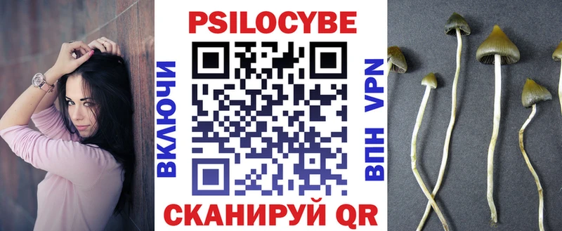 наркотики  Ефремов  Галлюциногенные грибы прущие грибы 